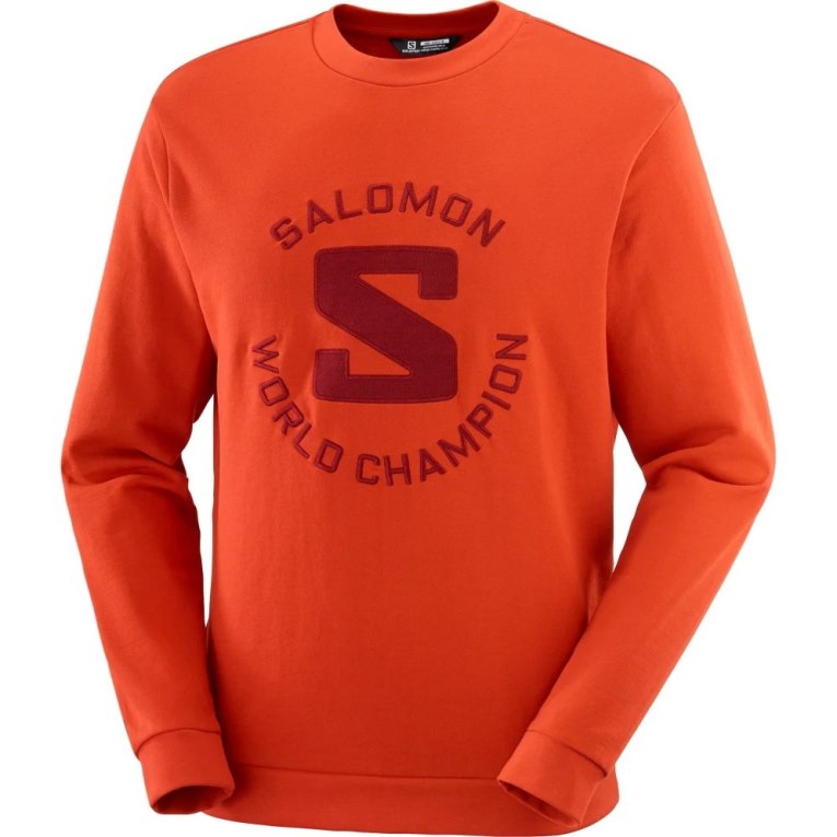 Orange Salomon Outlife Logo Summer Men's Sweatshirt | PH 26930J